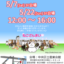 ５月７日(土)『ねこざんまい譲渡会』12時スタート！子猫ちゃんたちも参加します