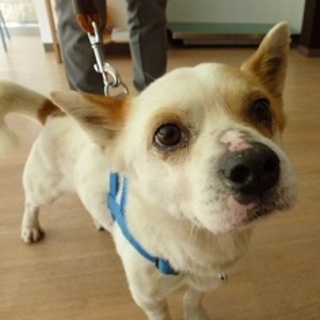 いつもルンルン　お人好しのドン君！