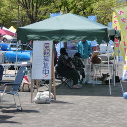 門司港レトロ公開里親探し