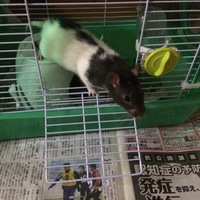 ぱんた♡ぱんこ