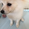 最期まで大切にして下さる方に