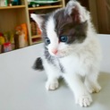 募集一時停止させていただきます。