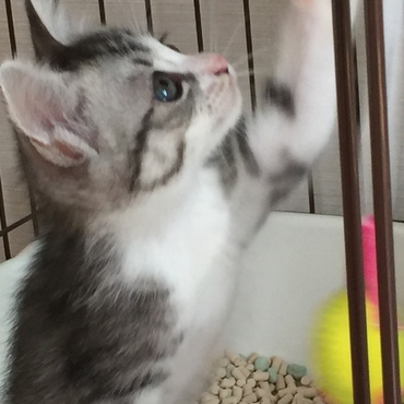 まつ毛見えるでしょうか？