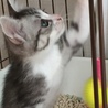 まつ毛見えるでしょうか？