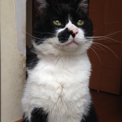 慣れたで～ヾ(*´∀｀*)ﾉ