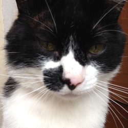 「慣れたで～ヾ(*´∀｀*)ﾉ」サムネイル2