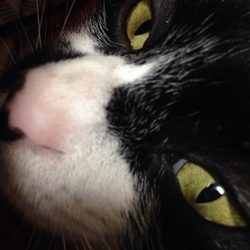 「慣れたで～ヾ(*´∀｀*)ﾉ」サムネイル3