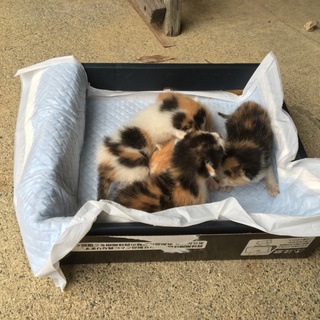 ありがとうございました(^_^)