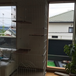 なかりブルー中