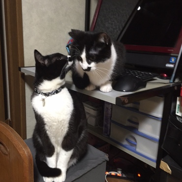 仲良し☆四男・五男（＾＾；