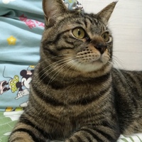 はる