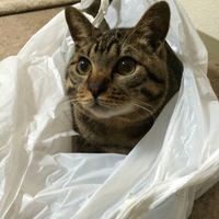 たろう