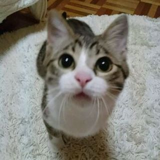 また捨てられていました。