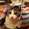 もも^._.^