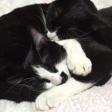 寝る仔は育つ（＾＾）