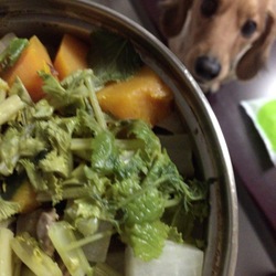 いつもの手作りご飯