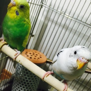 たくさんのご応募ありがとうございました。