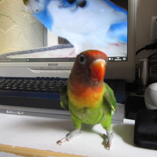 沢山のご応募、誠にありがとうございました