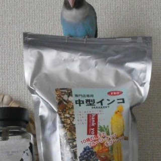 沢山のご応募、誠にありがとうございました。