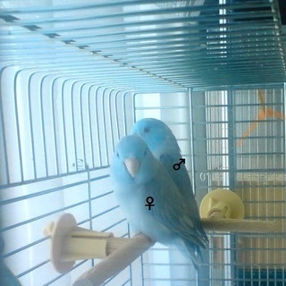 たくさんのご応募ありがとうございました。