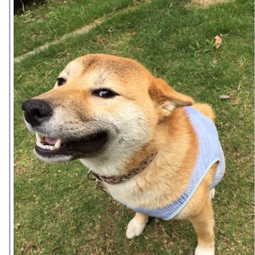 愛娘の 幸♪ です