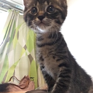 お雛ちゃん♫2ヶ月