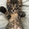 お雛ちゃん♫2ヶ月 サムネイル2