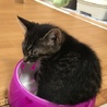 お雛ちゃん♫2ヶ月 サムネイル5
