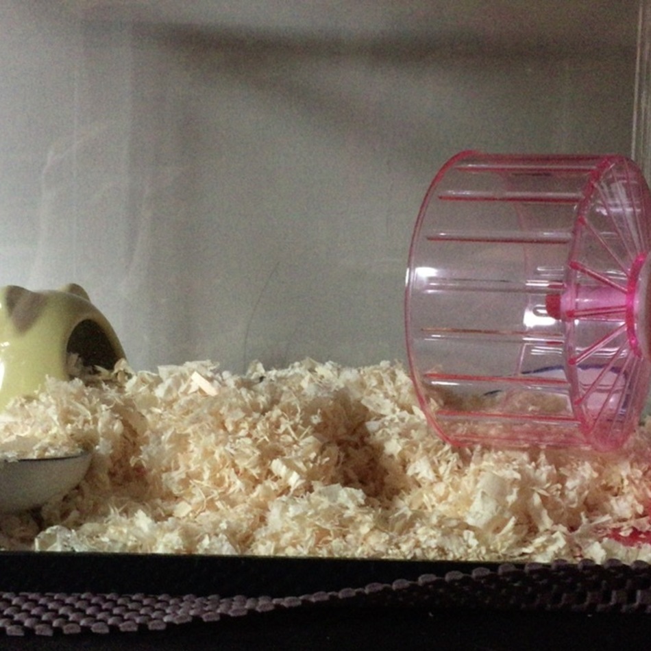 ふわりのカバー写真