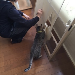 お手伝い感謝致します(^◇^;)
