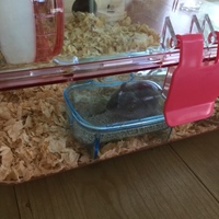 はぎ松ちゃん