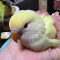募集中止中です