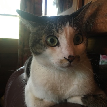 たろうの写真