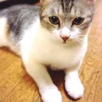 ピーター