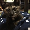 ベティーちゃん★
