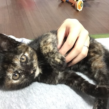 ベティーちゃん♪