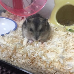 初めてのおやつ