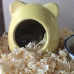 「初めてのおやつ」サムネイル2