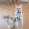 の写真