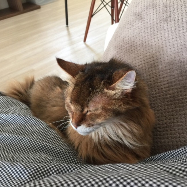 mico723のカバー写真
