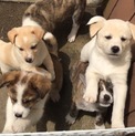 有難うございました(^-^)