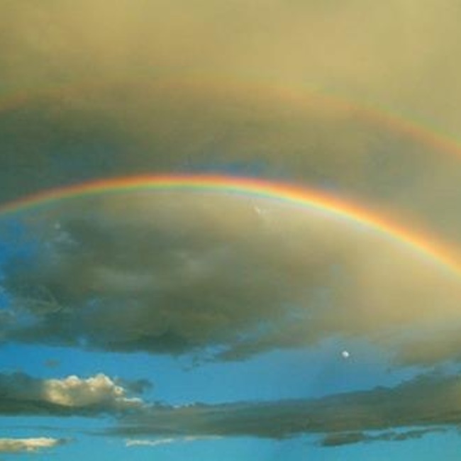 Chance to Peace しっぽの会のカバー写真