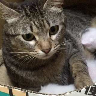 おっとり甘えん坊さんの春ちゃん