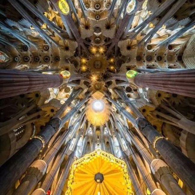 ちぇぶ。のカバー写真