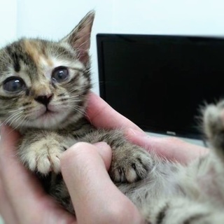 甘えん坊でやんちゃな女の子☆