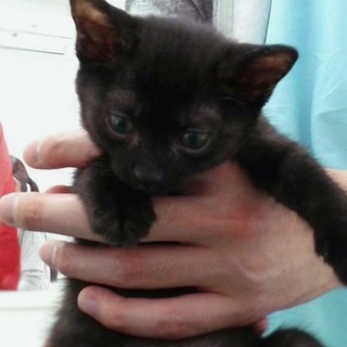 元気で甘えん坊の男の子☆