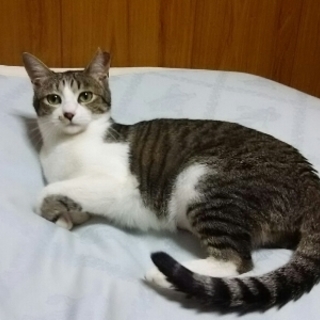 リンちゃん　よく馴れてます