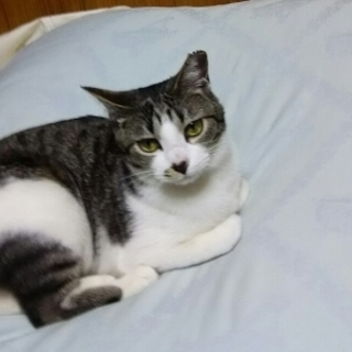 のばらちゃん　とてもよく馴れてます