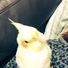 甘えてます。