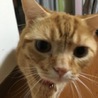 とむまる